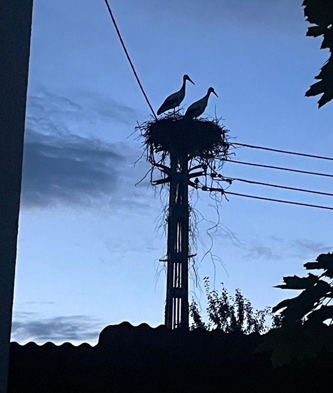 Schachen-Baindt_MTrocha_20250731